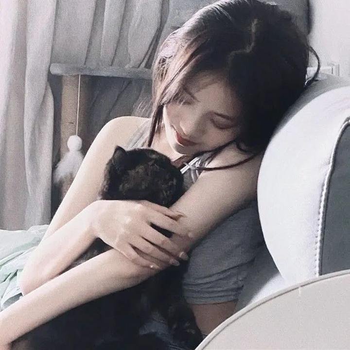 离婚后，前夫他追疯了今夜星光璀璨